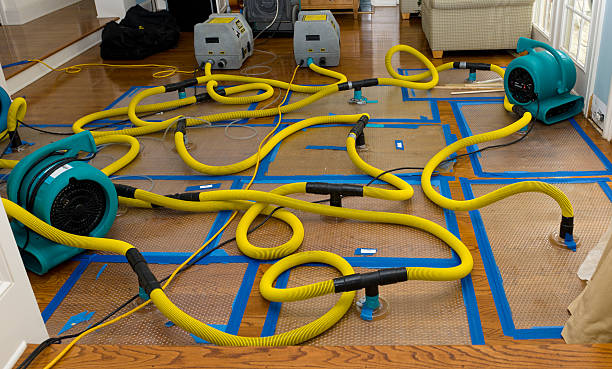 Professional Burst Pipe Water Damage technician working in Humboldt, AZ
